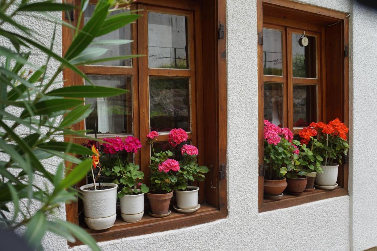 Home With The Veranda Weliko Tarnowo Exterior foto